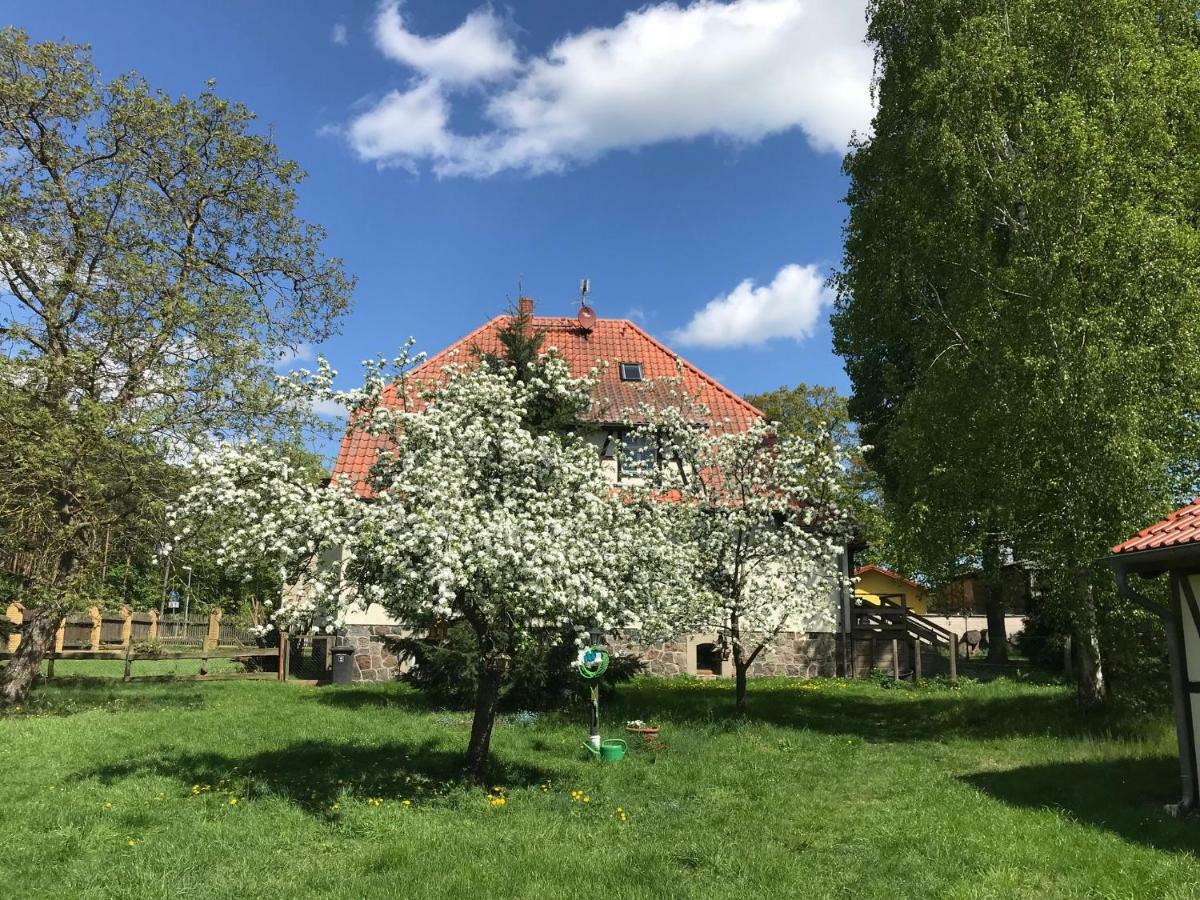 Pferdehof Schorfheideヴィラ エクステリア 写真